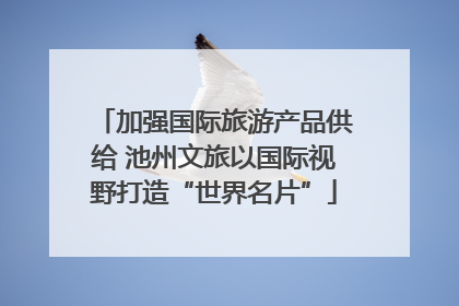 加强国际旅游产品供给 池州文旅以国际视野打造“世界名片”